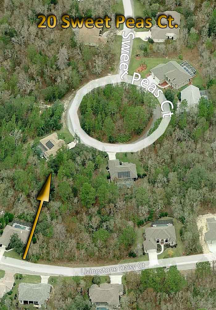 Aerial photo of the details of the pool home for sale.