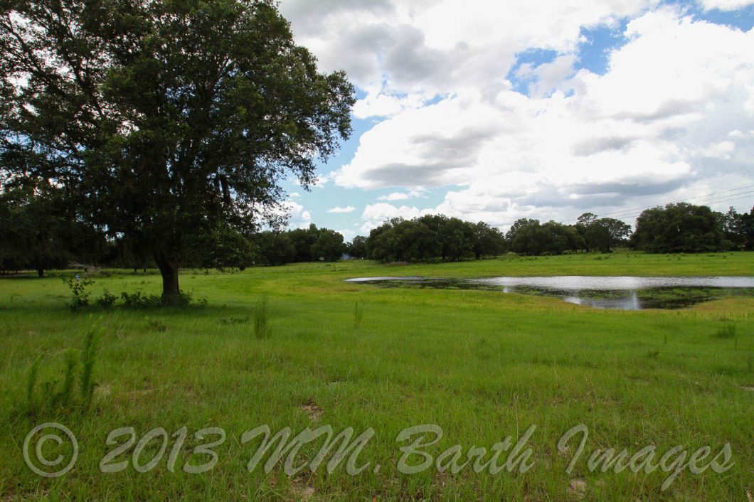 San Juan Ter. Citrus County, Crystal River, Farm for Sale
