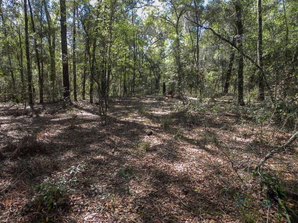 Real Estate for Sale, Listing Photo, Vacant Land, Rosehill 4512, Floral City, Florida, 34426