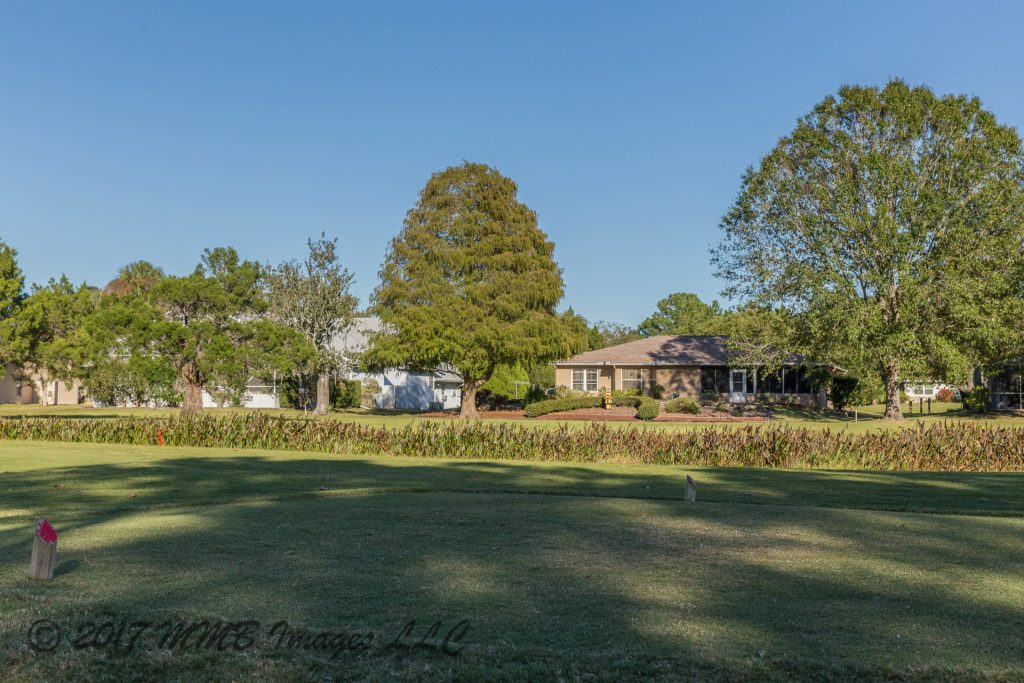 Listing Photo for the Real Estate and Golf Course Home for Sale in Crystal River, Citrus County