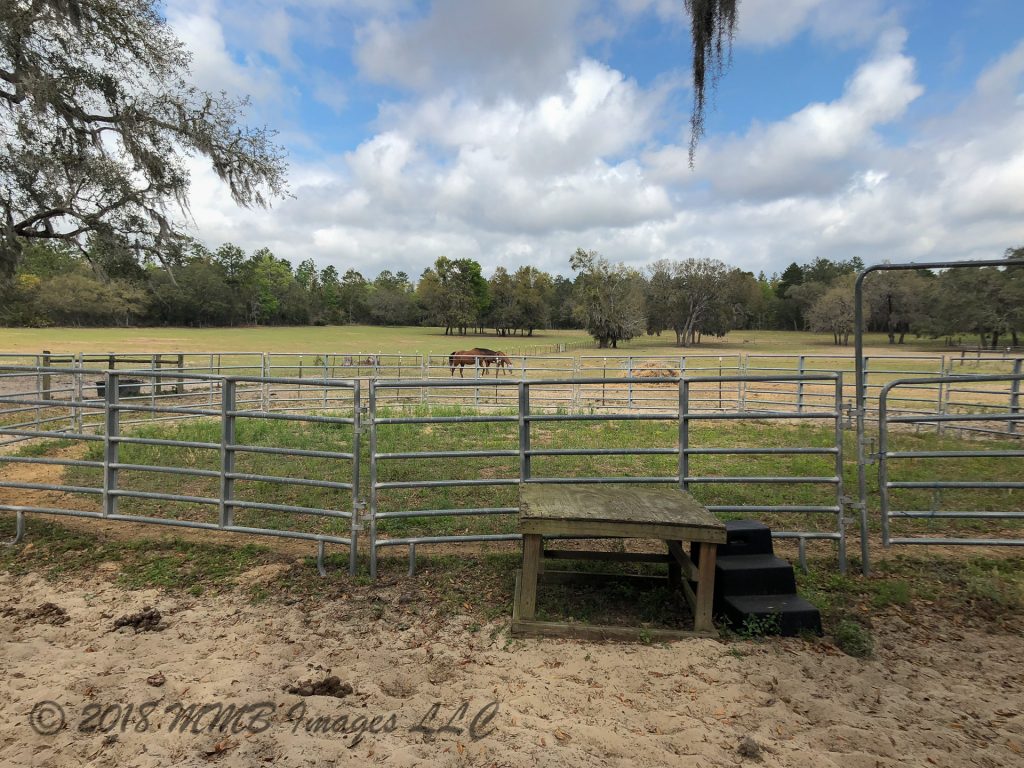 Listing Photo for the Real Estate and Horse Farm, Ranch for Sale in Lecanto, Citrus County on Menasha Ct