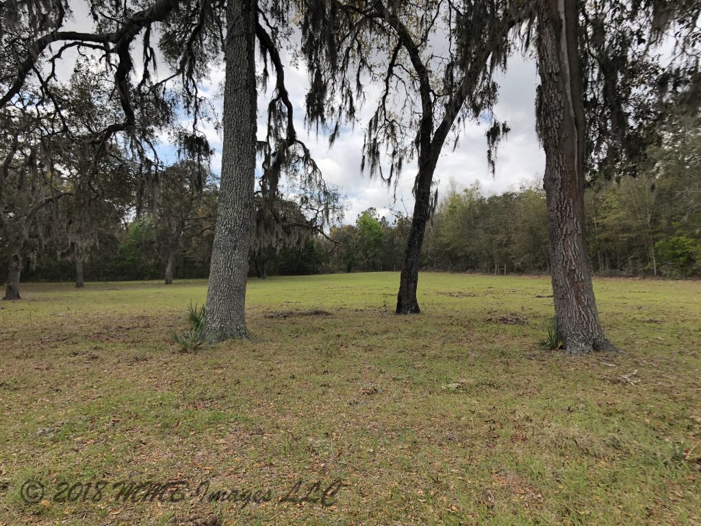 Listing Photo for the Real Estate and Horse Farm, Ranch for Sale in Lecanto, Citrus County on Menasha Ct