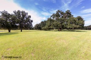 Real Estate Listing Photo for the Farm for Sale in Crystal on 6750 N San Juan Terrace Crystal River, Florida 34428